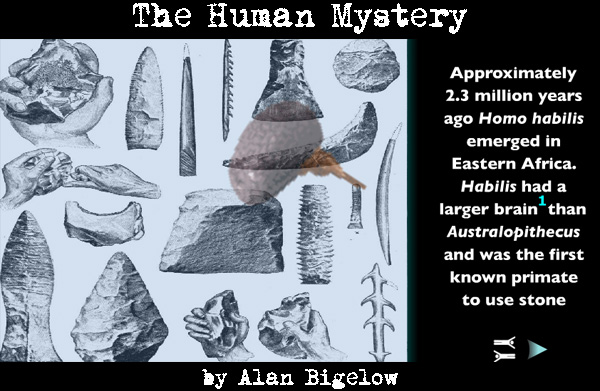 Click to play The Human Mystery